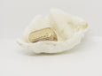 The Merchant ring - Celeste Twikler