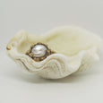 Amphitrite ring - Celeste Twikler